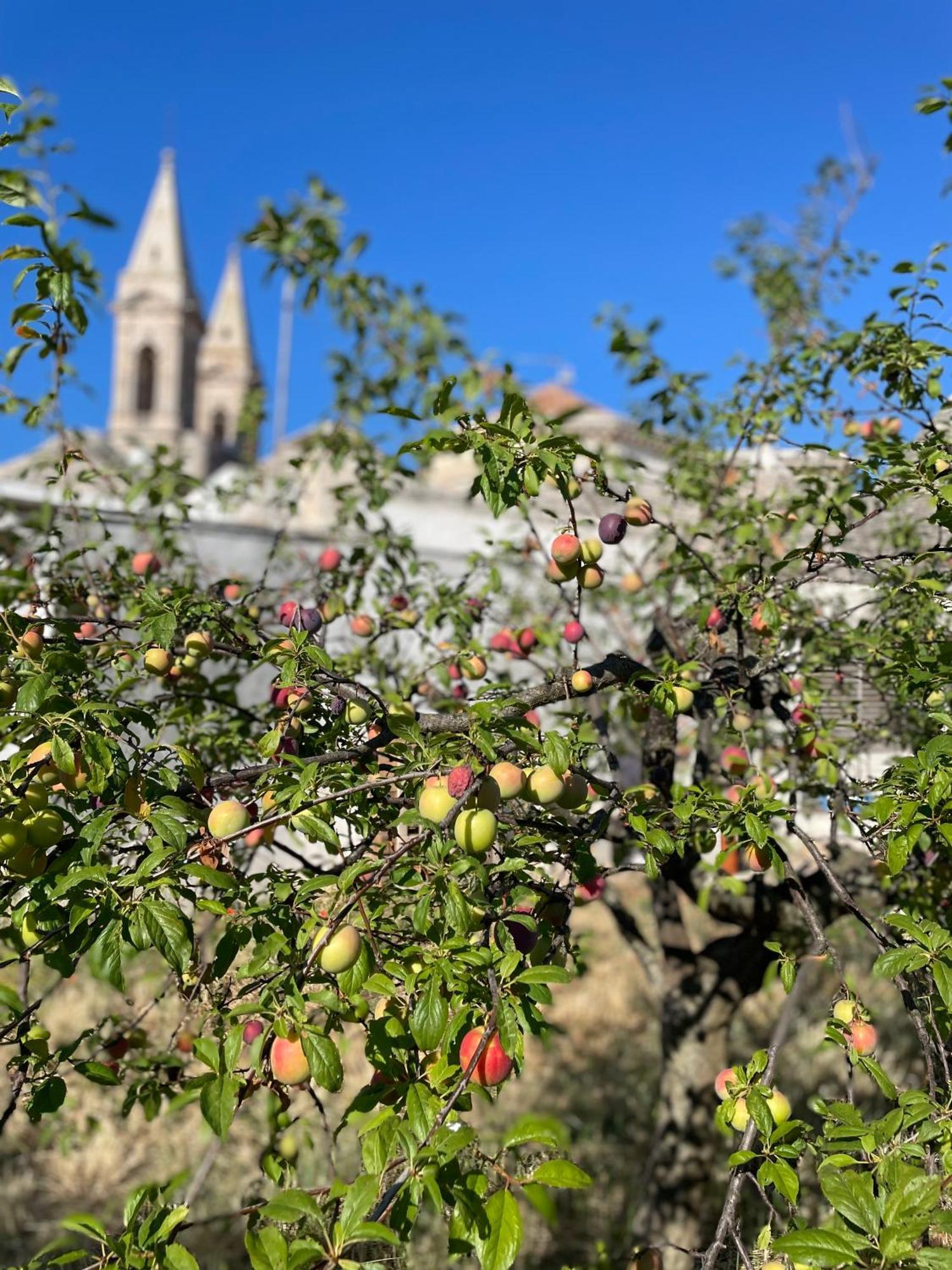 Hotel Borganthia - Il Chiostro Dei Medici Alberobello Zewnętrze zdjęcie